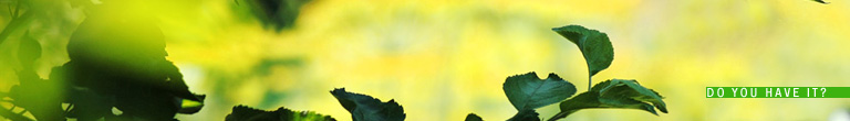 Careers — Demsorean, Popescu, Dinu & Asociatii | Proveritas